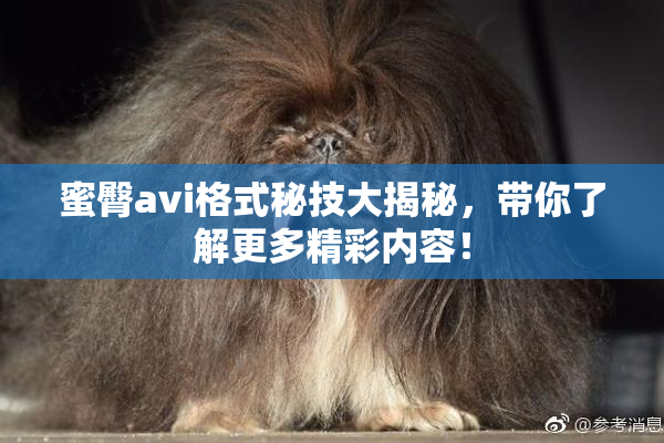 蜜臀avi格式秘技大揭秘，带你了解更多精彩内容！