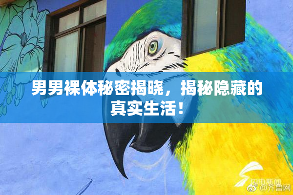男男裸体秘密揭晓，揭秘隐藏的真实生活！