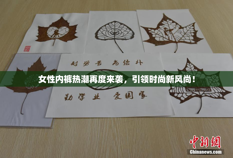 女性内裤热潮再度来袭，引领时尚新风尚！