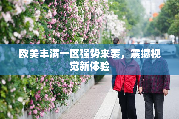 欧美丰满一区强势来袭，震撼视觉新体验