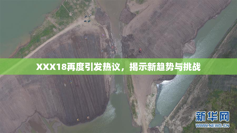 XXX18再度引发热议，揭示新趋势与挑战