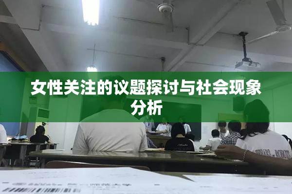 女性关注的议题探讨与社会现象分析