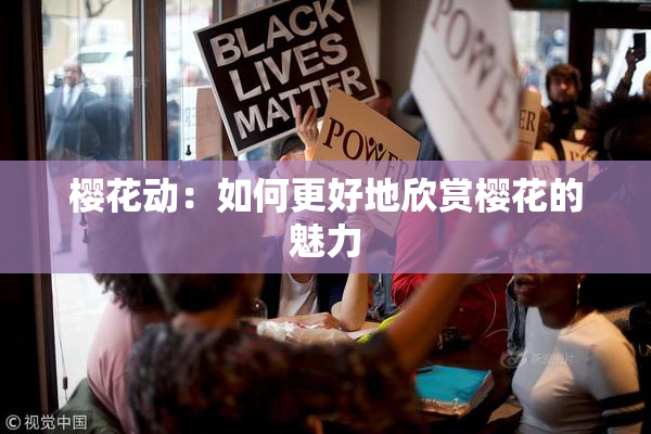 樱花动：如何更好地欣赏樱花的魅力