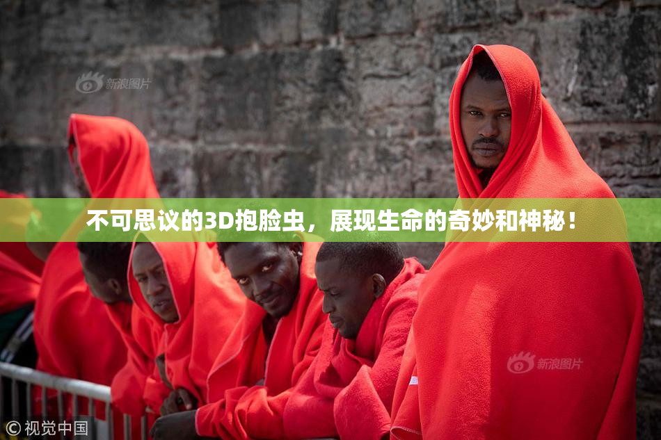 不可思议的3D抱脸虫，展现生命的奇妙和神秘！