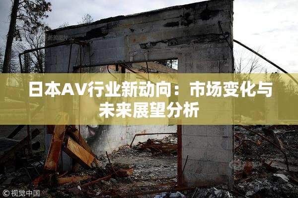 日本AV行业新动向：市场变化与未来展望分析
