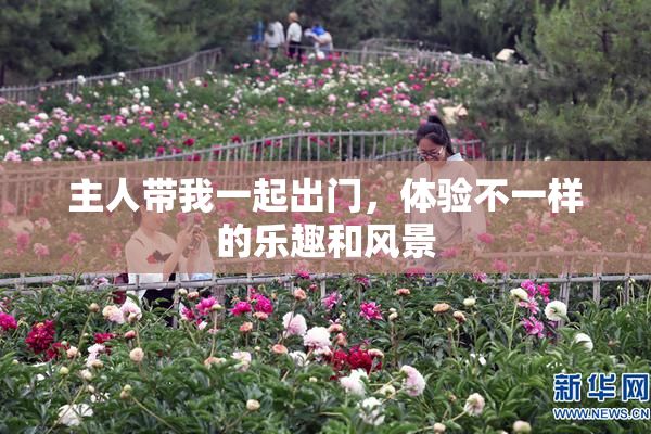主人带我一起出门，体验不一样的乐趣和风景