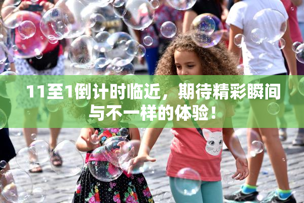 11至1倒计时临近，期待精彩瞬间与不一样的体验！