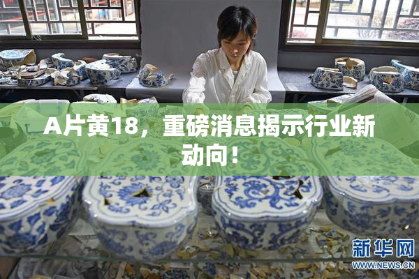 A片黄18，重磅消息揭示行业新动向！
