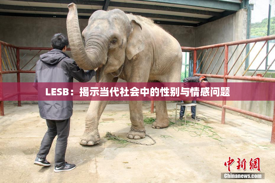 LESB：揭示当代社会中的性别与情感问题
