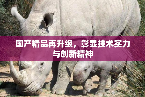 国产精品再升级，彰显技术实力与创新精神