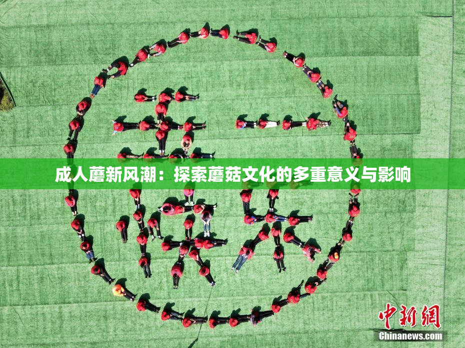 成人蘑新风潮：探索蘑菇文化的多重意义与影响