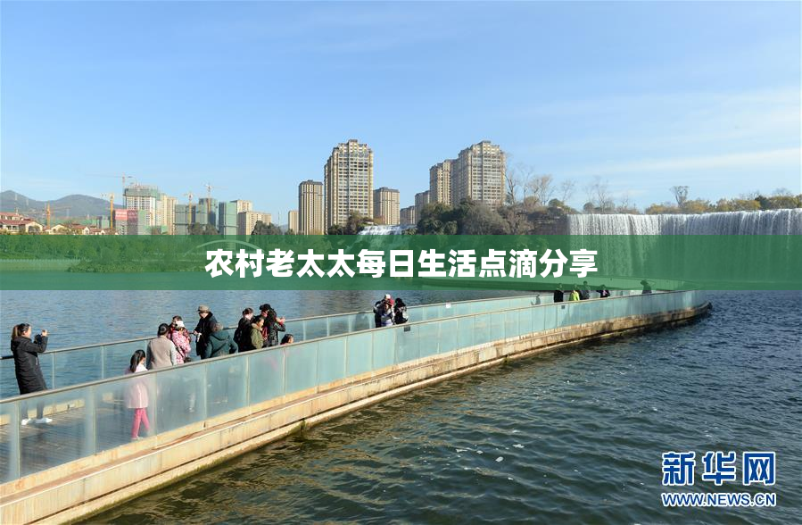 农村老太太每日生活点滴分享