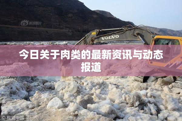 今日关于肉类的最新资讯与动态报道
