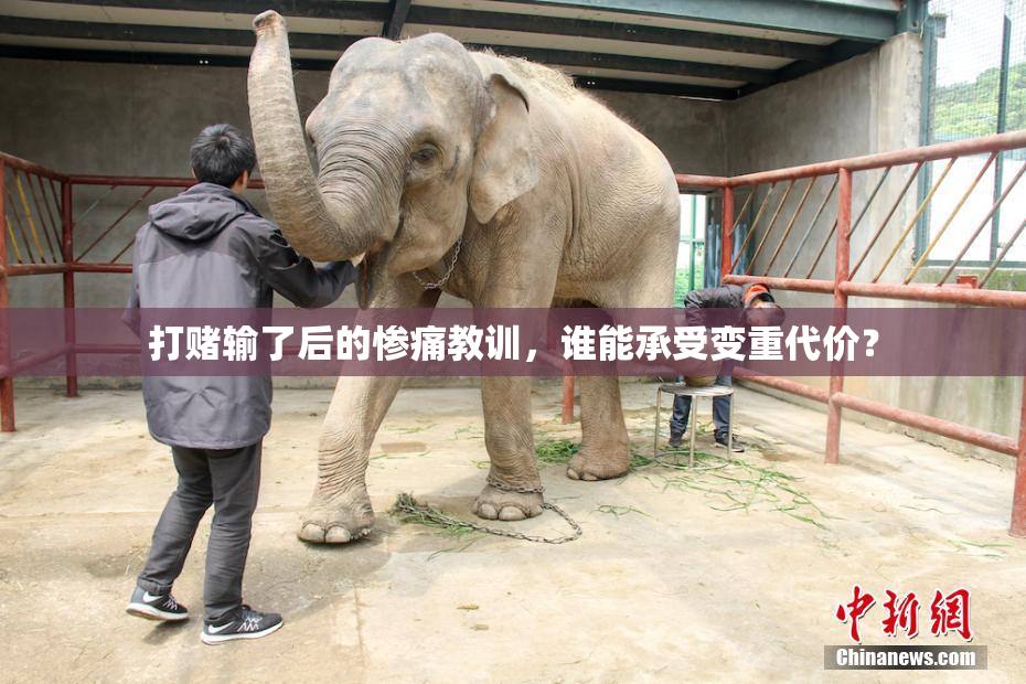 打赌输了后的惨痛教训，谁能承受变重代价？