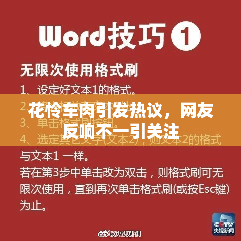 花怜车肉引发热议，网友反响不一引关注