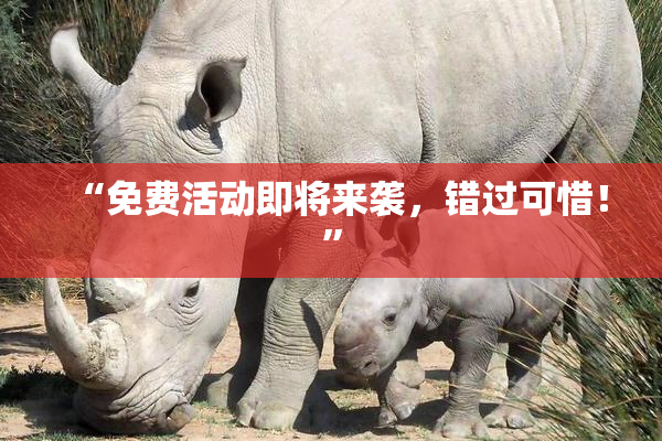 “免费活动即将来袭，错过可惜！”