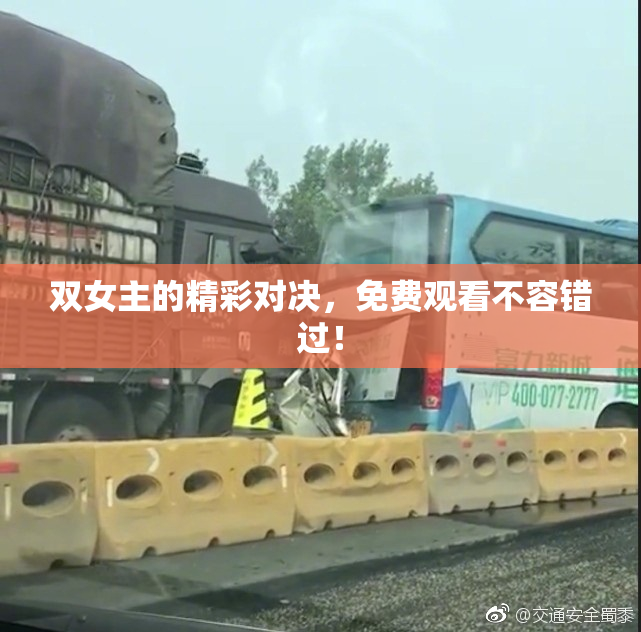双女主的精彩对决，免费观看不容错过！