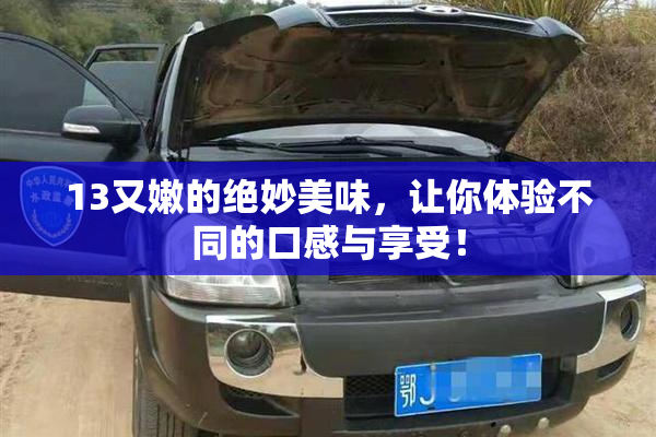 13又嫩的绝妙美味，让你体验不同的口感与享受！