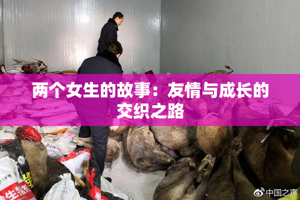 两个女生的故事：友情与成长的交织之路