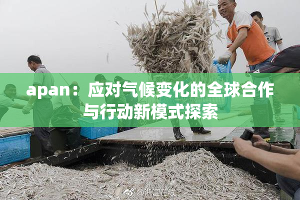 apan：应对气候变化的全球合作与行动新模式探索