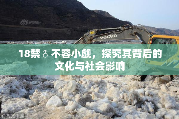 18禁♂不容小觑，探究其背后的文化与社会影响