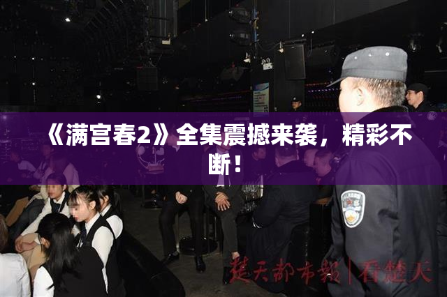 《满宫春2》全集震撼来袭，精彩不断！