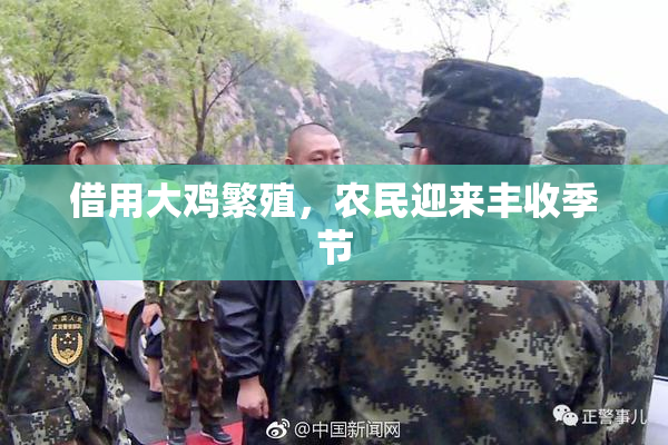 借用大鸡繁殖，农民迎来丰收季节