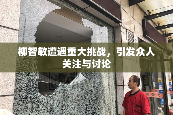 柳智敏遭遇重大挑战，引发众人关注与讨论