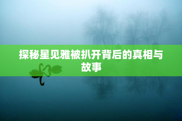 探秘星见雅被扒开背后的真相与故事