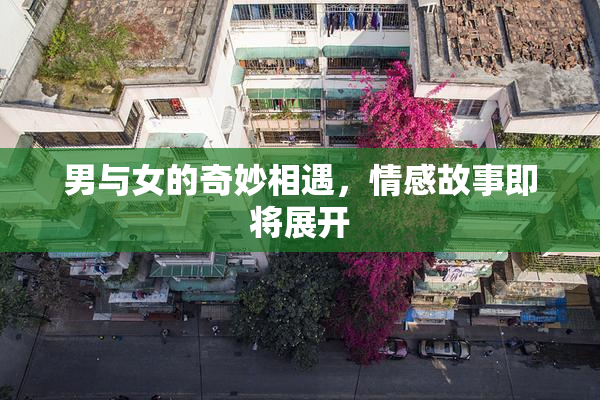 男与女的奇妙相遇，情感故事即将展开