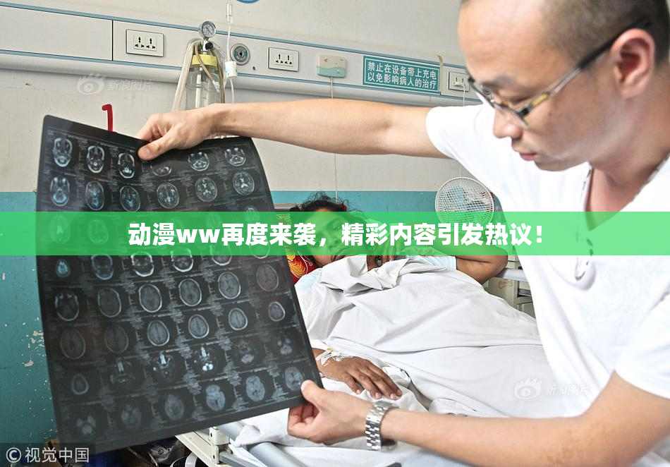 动漫ww再度来袭，精彩内容引发热议！