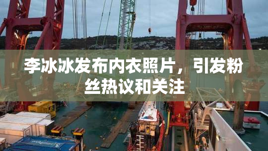 李冰冰发布内衣照片，引发粉丝热议和关注