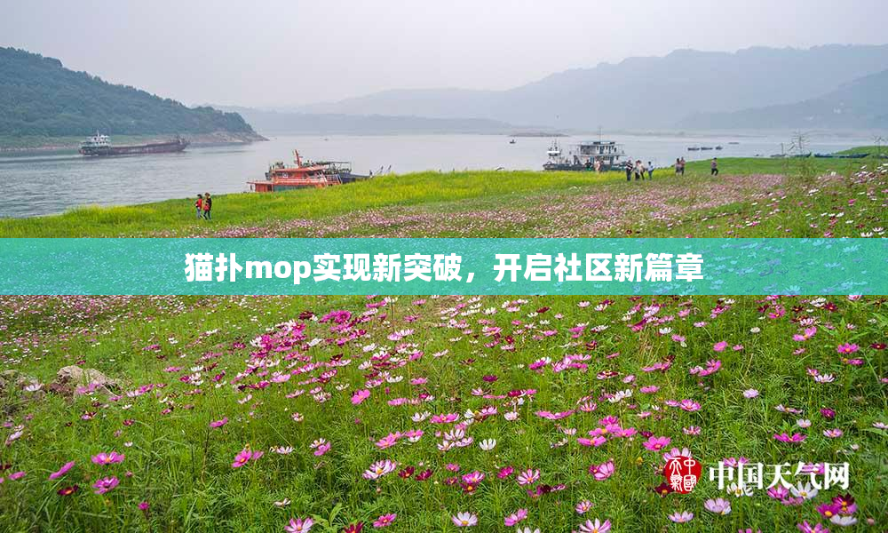 猫扑mop实现新突破，开启社区新篇章
