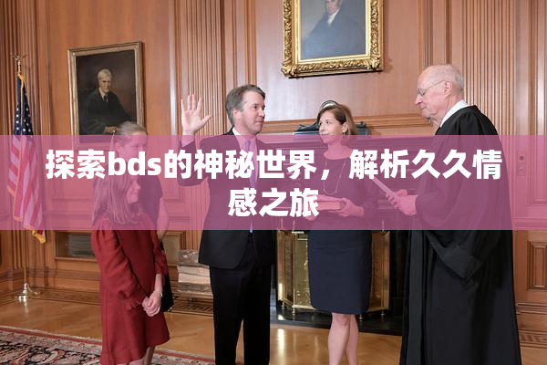 探索bds的神秘世界，解析久久情感之旅