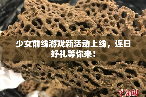 少女前线游戏新活动上线，连日好礼等你来！