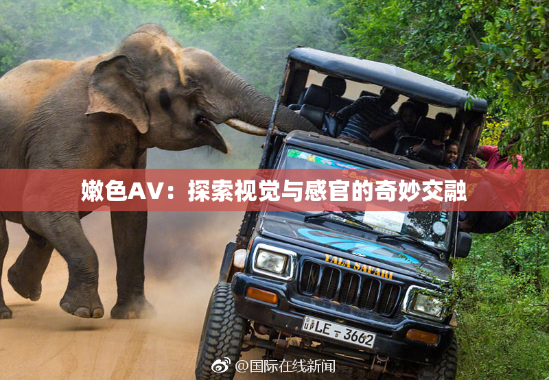 嫩色AV：探索视觉与感官的奇妙交融