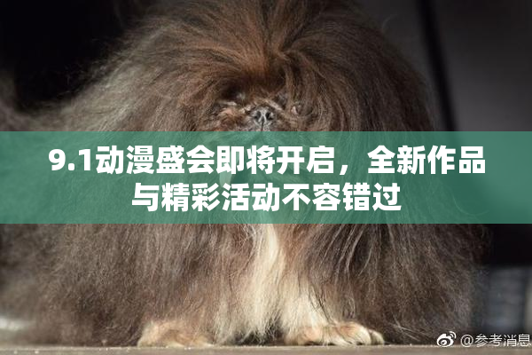 9.1动漫盛会即将开启，全新作品与精彩活动不容错过