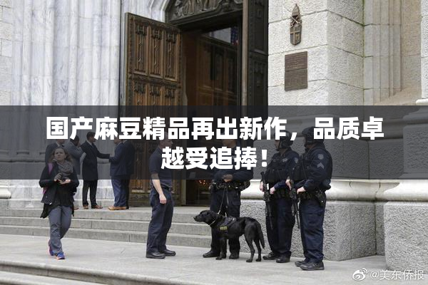 国产麻豆精品再出新作，品质卓越受追捧！