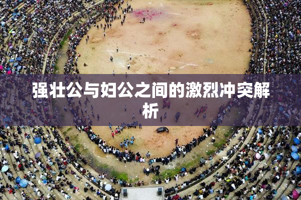 强壮公与妇公之间的激烈冲突解析