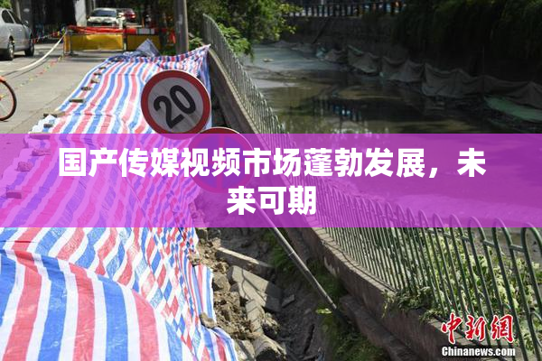 国产传媒视频市场蓬勃发展，未来可期