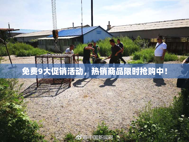 免费9大促销活动，热销商品限时抢购中！