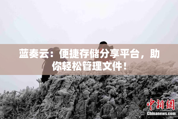 蓝奏云：便捷存储分享平台，助你轻松管理文件！