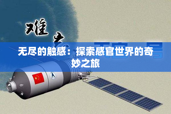无尽的触感：探索感官世界的奇妙之旅