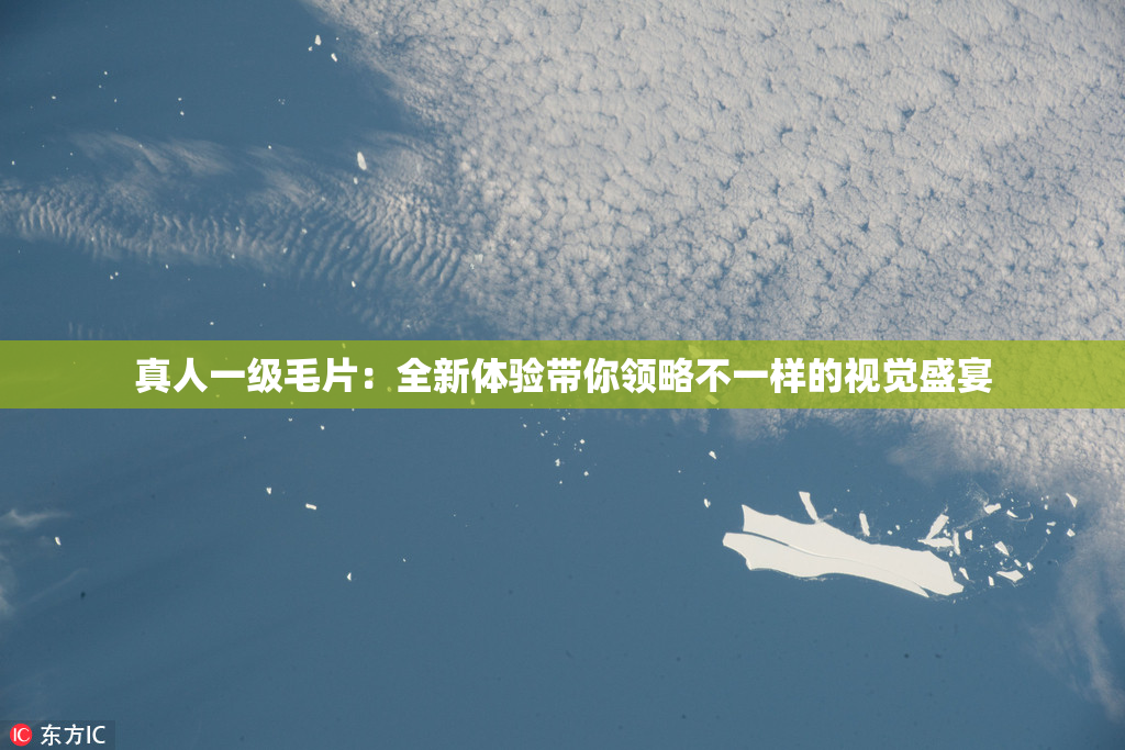真人一级毛片：全新体验带你领略不一样的视觉盛宴