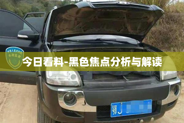 今日看料-黑色焦点分析与解读