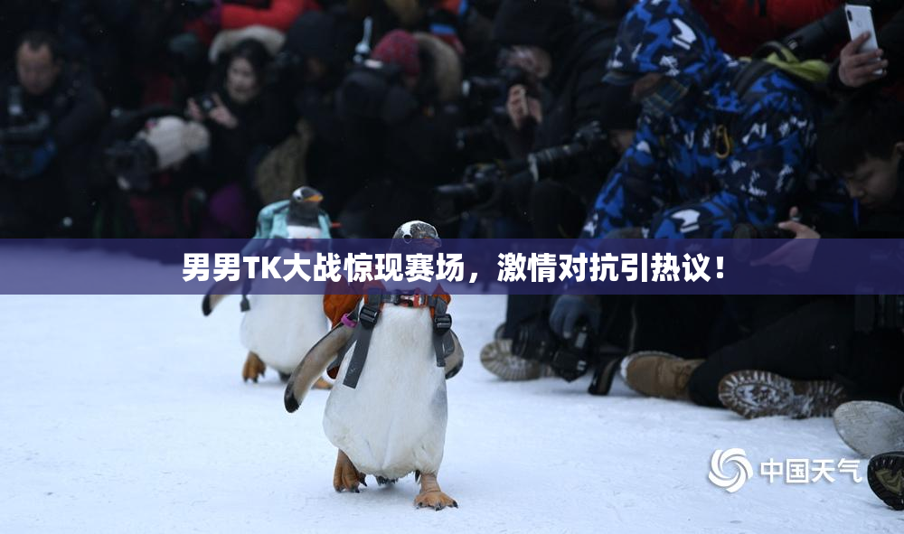 男男TK大战惊现赛场，激情对抗引热议！