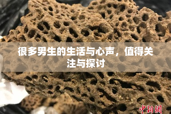 很多男生的生活与心声，值得关注与探讨