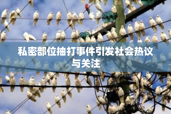 私密部位抽打事件引发社会热议与关注