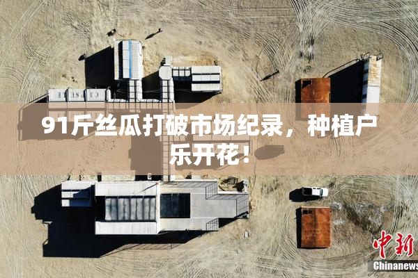 91斤丝瓜打破市场纪录，种植户乐开花！