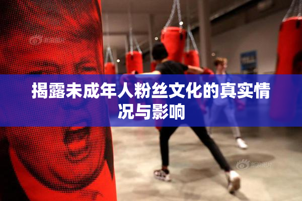 揭露未成年人粉丝文化的真实情况与影响